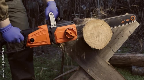 Wallpaper Mural Photo of a worker in outfit with blue gloves cutting wood log on backyard background. Torontodigital.ca