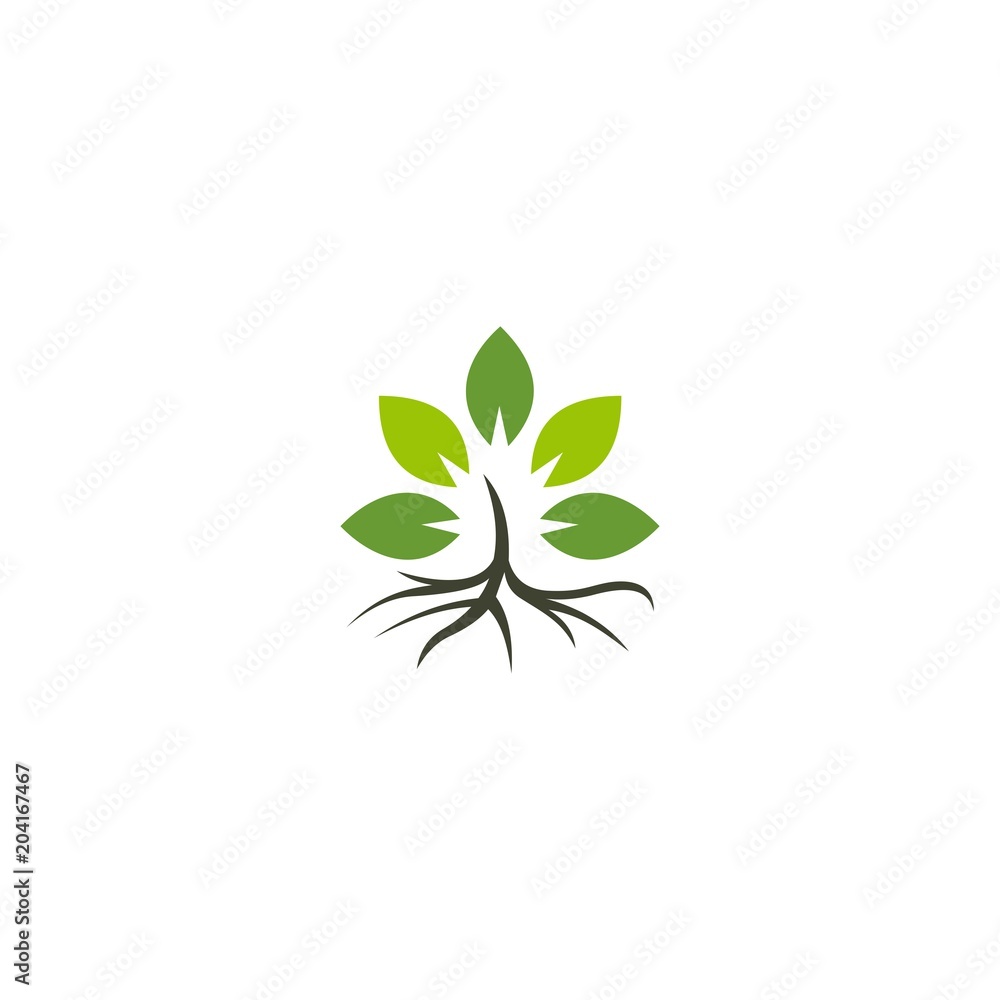 Leaf Root Naturally Ecology Logo, Green Leaf Icon Vector Illustrations, Eco icon green leaf vector illustration isolated. Leaf Root Naturally Ecology Logo, Green Leaf Icon Vector Illustrations, Eco icon green leaf vector illustration isolated.