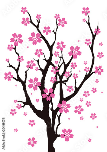 Sakura Tree © tujuh17belas