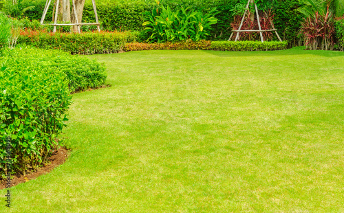 Green lawn, The front lawn for background, Garden landscape design