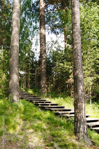 Wooden staircase in the woods.