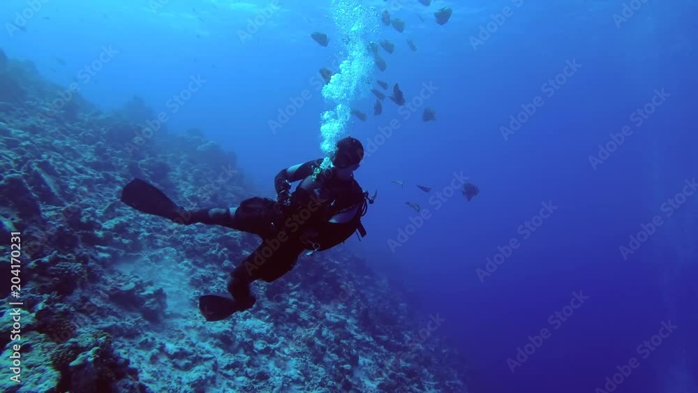 Scuba diver swims in current next to the slope of the reef in blue water, Indian Ocean, Fuvahmulah island, Maldives
Scuba diver swims in current next to the slope of the reef in blue water, Indian Ocean, Fuvahmulah island, Maldives
