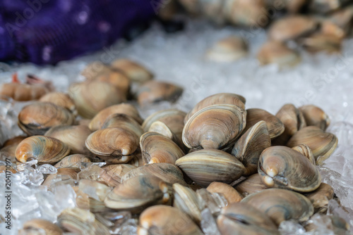 clams on ice at the market