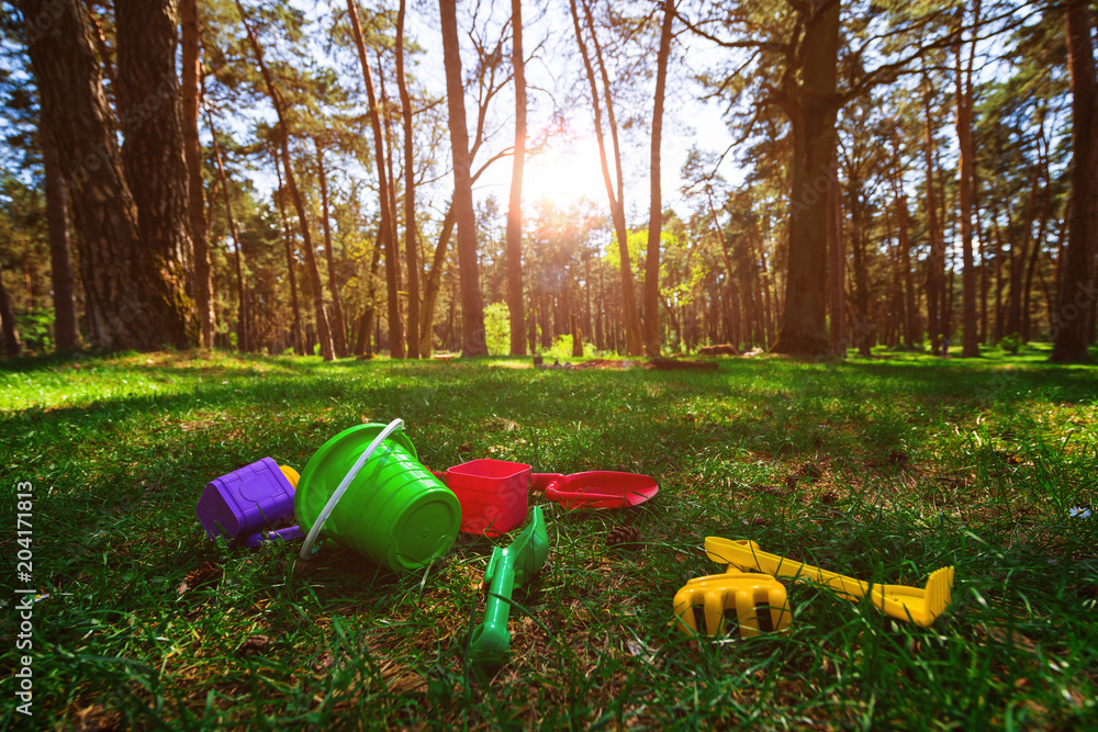 children's toys in the beautiful forest are scattered