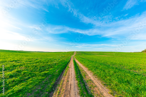 Green field,blue sky and sun.