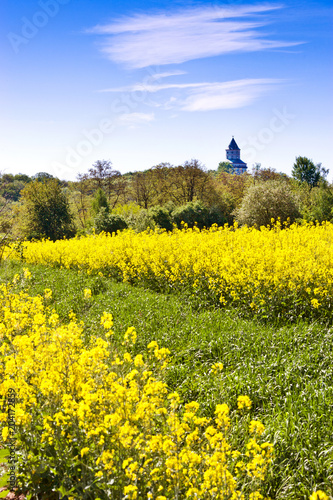 spring agriculture - yellow rape field, Bohemian Paradise landscape, Czech republic