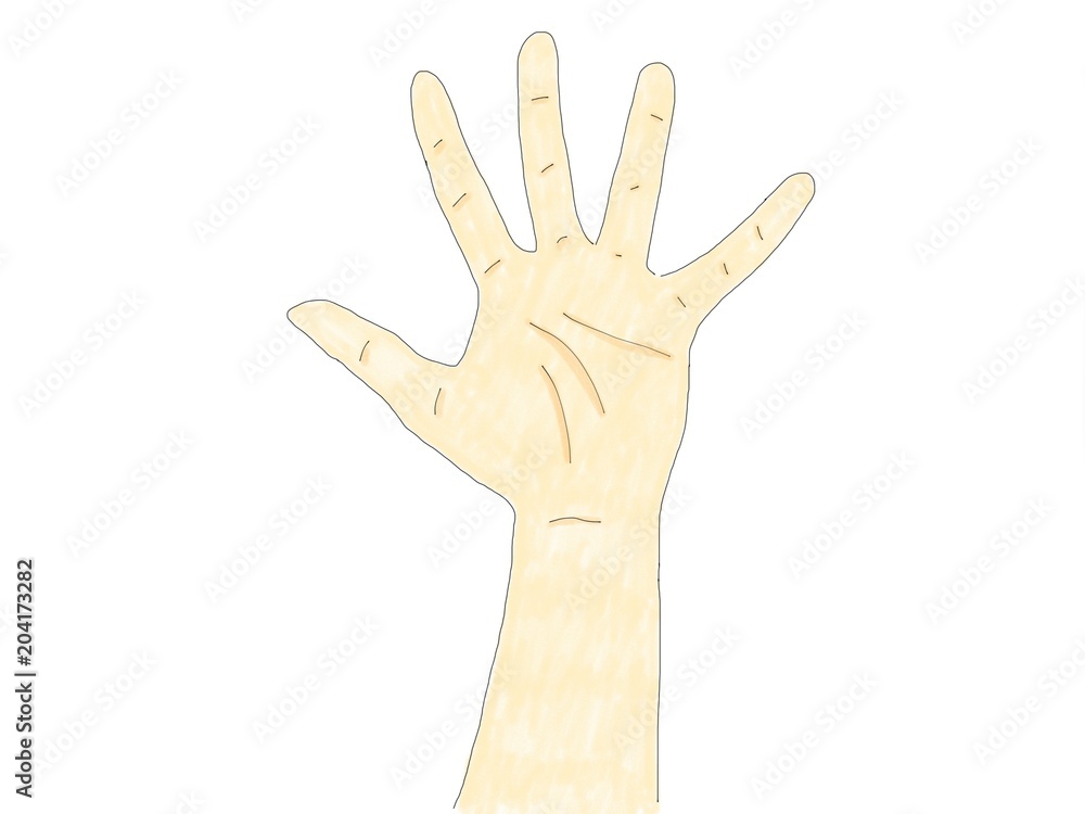 abstract hand draw doodle watercolor hand show five finger isolate on white background, finger language, illustration abstract hand draw doodle watercolor hand show five finger isolate on white background, finger language, illustration