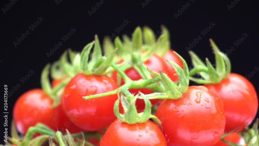 Matt's Wild cherry tomato rotate on black background. Fresh red Matt's Wild cherry tomato for healthy. Cherry tomato in 4k 3840x2160 hi resolution. Matt's Wild cherry tomato rotate on black background. Fresh red Matt's Wild cherry tomato for healthy. Cherry tomato in 4k 3840x2160 hi resolution.