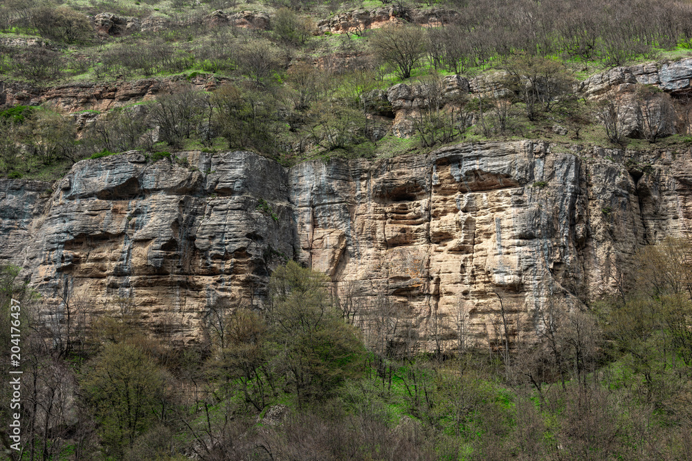 Ancient rocks in the faces shape