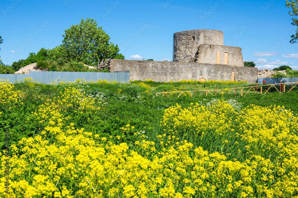 Ruins of Koporye fortress