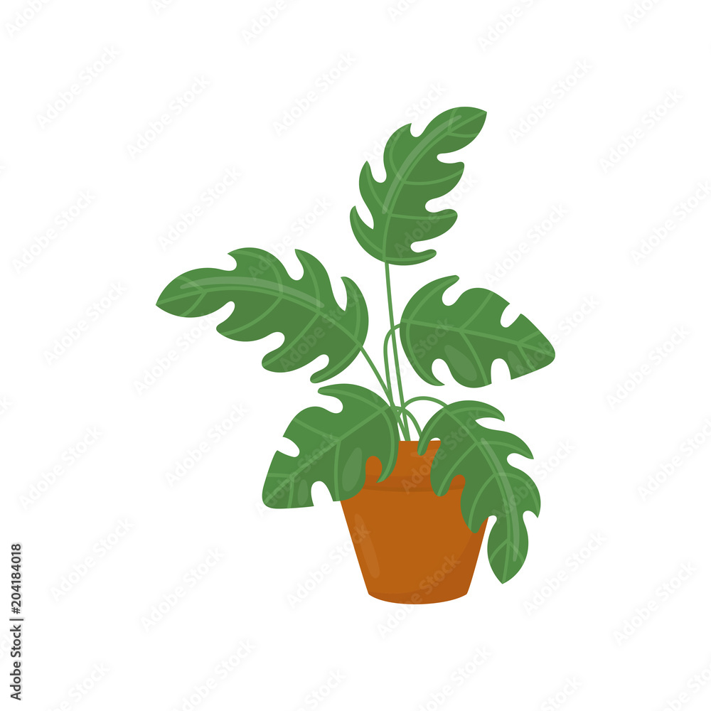 Obraz premium Icon of houseplant with wide green leaves. Decorative plant in brown ceramic pot. Natural flat vector element for home interior