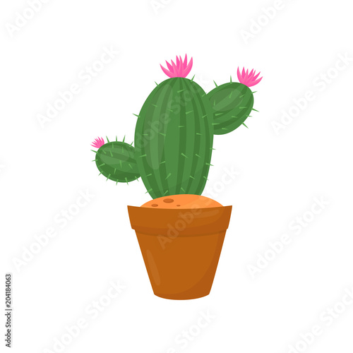 Green cactus in brown pot. Plant with little pink flowers and spines. Indoor gardening. Flat vector element of home decoration