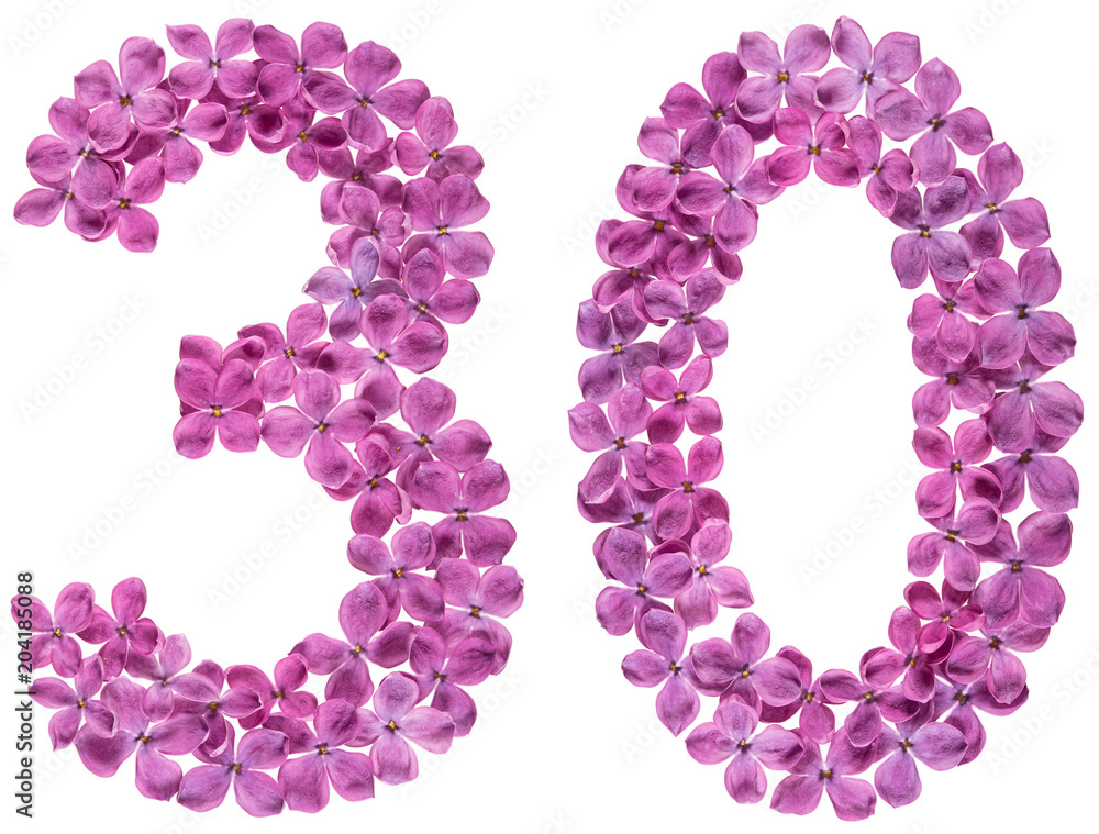 Arabic numeral 30, thirty, from flowers of lilac, isolated on white background