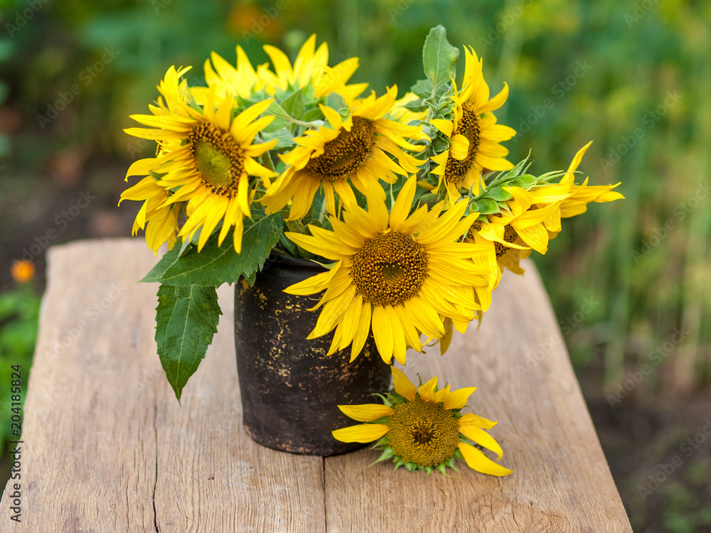 Sunflowers in vase Stock Photo | Adobe Stock
