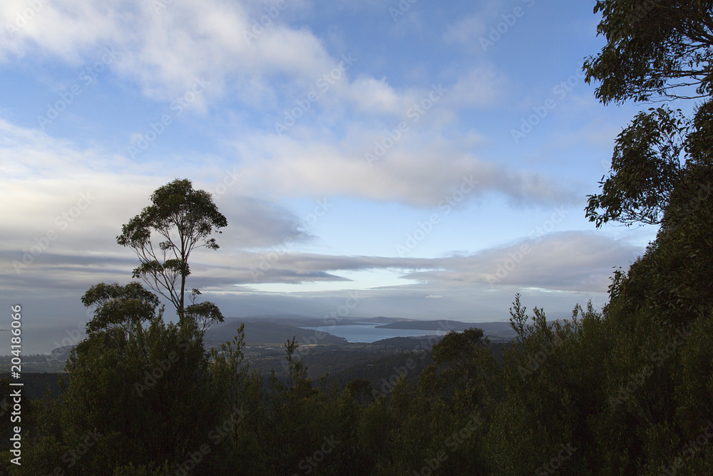 Early morning on the road to Mount Wellington in Tasmania. At its highest point the mountain is 1,271 metres and the weather can be variable with high winds and a drop in temperature.