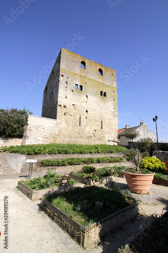 Conflans-Sainte-Honorine - Tour Montjoie photo