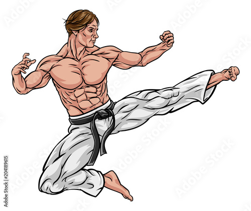 Karate or Kung Fu Flying Kick
