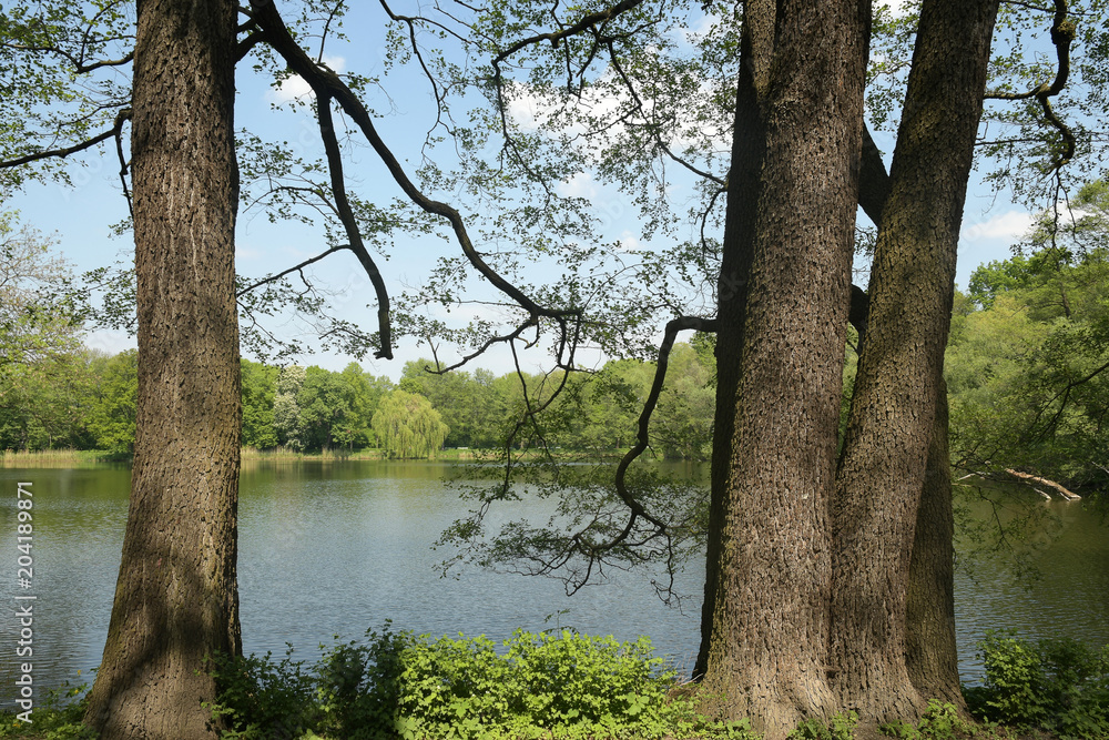 seeblick seeblick