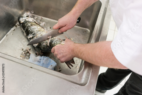 Chef scaling carp fish in restaurant kitchen