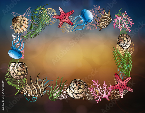 Composition of seashells, starfish, jellyfish. Underwater world. Sea background.