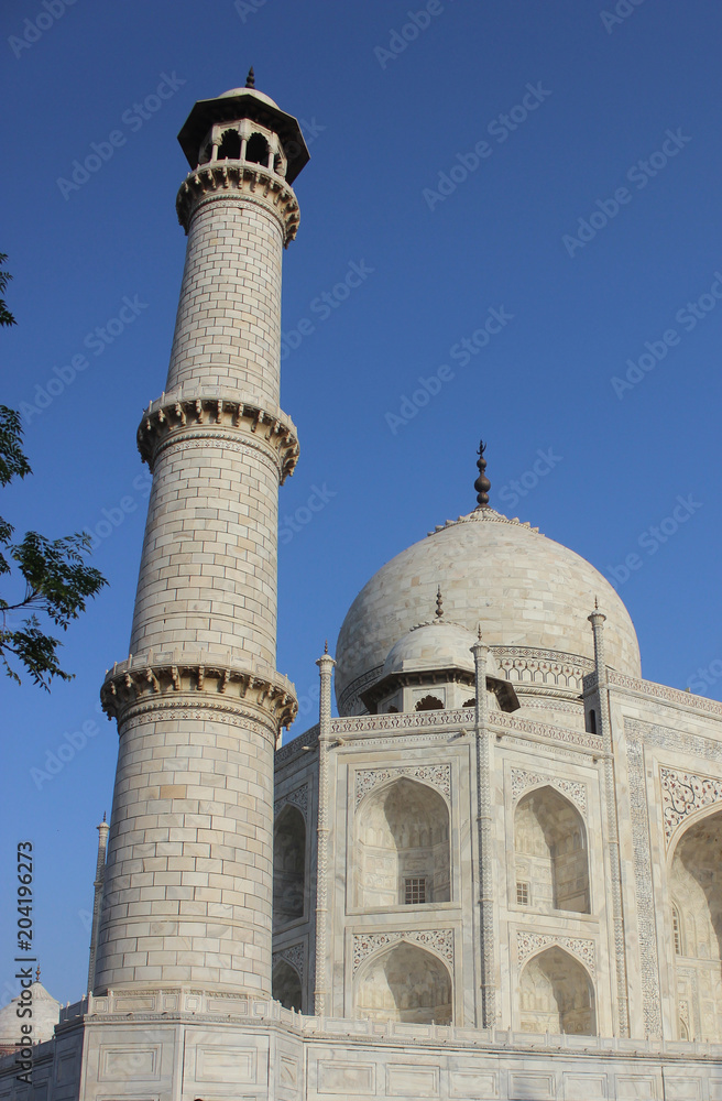 Close-up shot of the minaret of taj mahal