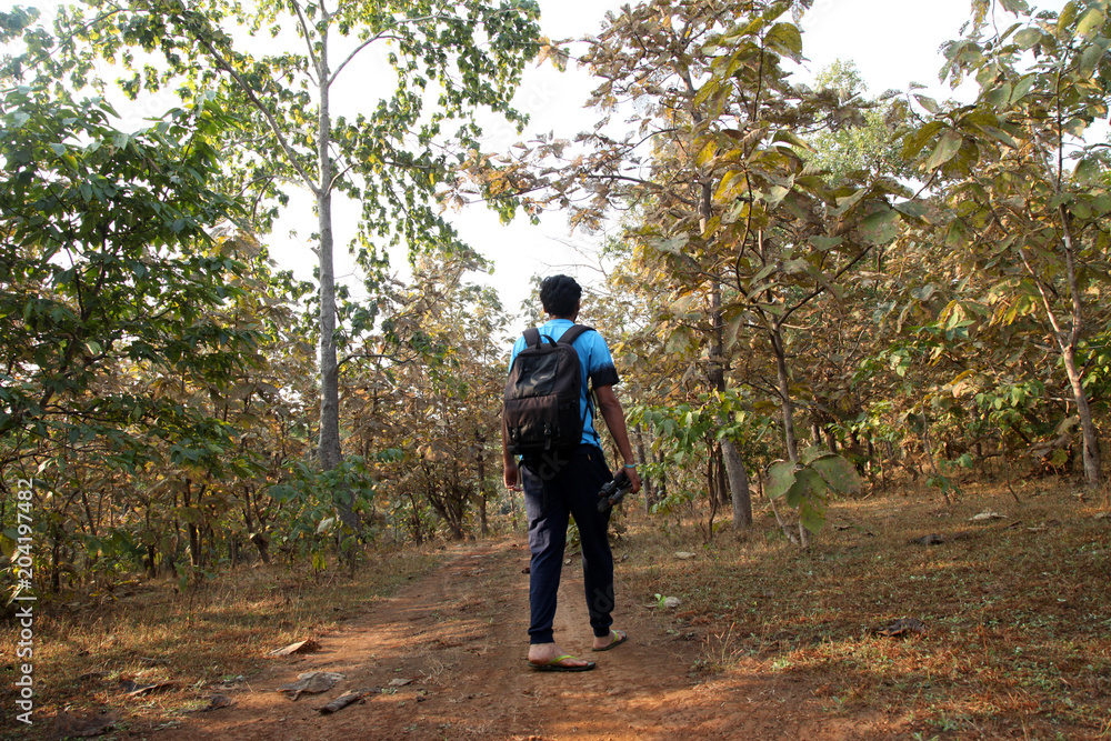 Asian men travel photograph nature. Travel relax. Walk on the path. Nature Study in the Jungle. Asian men travel photograph nature. Travel relax. Walk on the path. Nature Study in the Jungle.