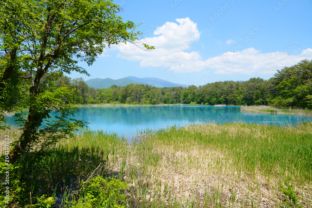 福島の五色沼湖沼群 StockFoto Adobe Stock