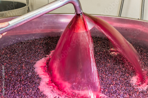 Bild auf Leinwand élaboration du vin