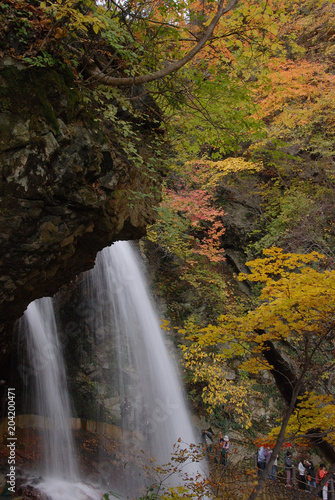 beautiful colorful autumn leaves over the fall / 裏見の滝 - 滝の裏側から見る紅葉