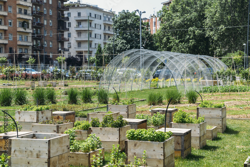 Fotografie Urban farming sustainability concept, captured in Milan, Lombardy, Italy
