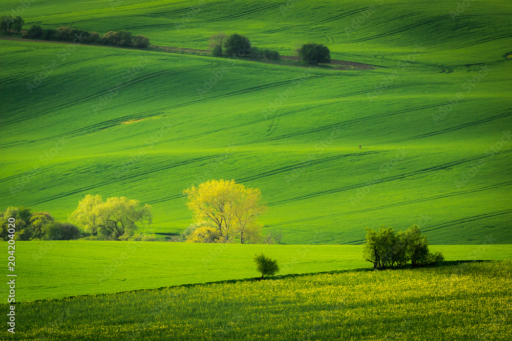 Moravian fields at spring near Kyjov village, Czech Republic