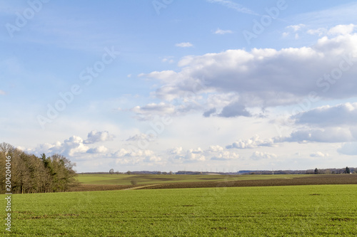 idyllic agriculture scenery at early spring time © PRILL Mediendesign