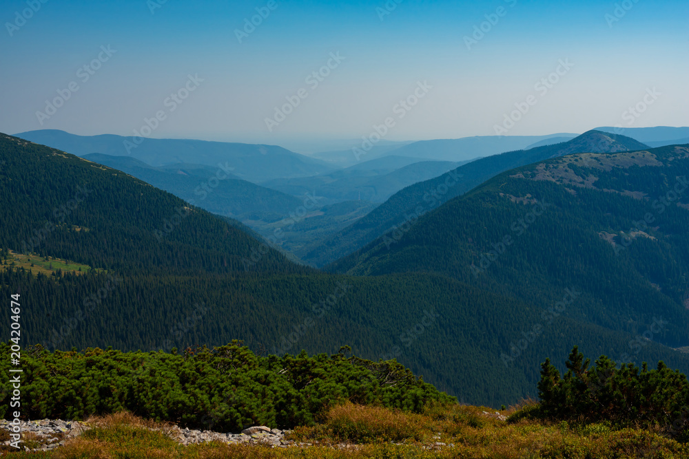 Mountain ridges, covered with coniferous woods