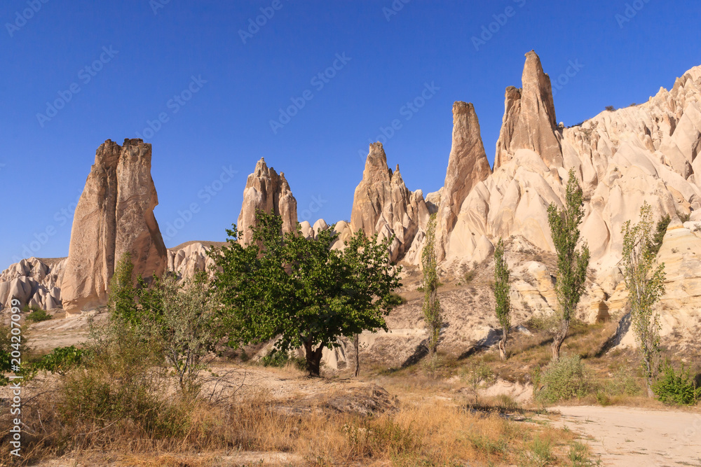 Fototapeta premium Cudowna Kapadocja