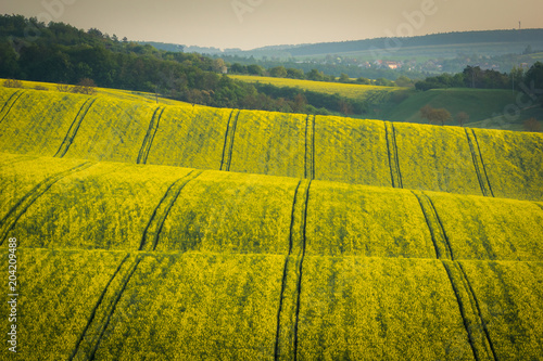 Moravian fields at spring near Kyjov village, Czech Republic