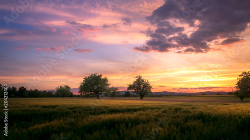 Swiss countryside landscape sunset © YuriFineart