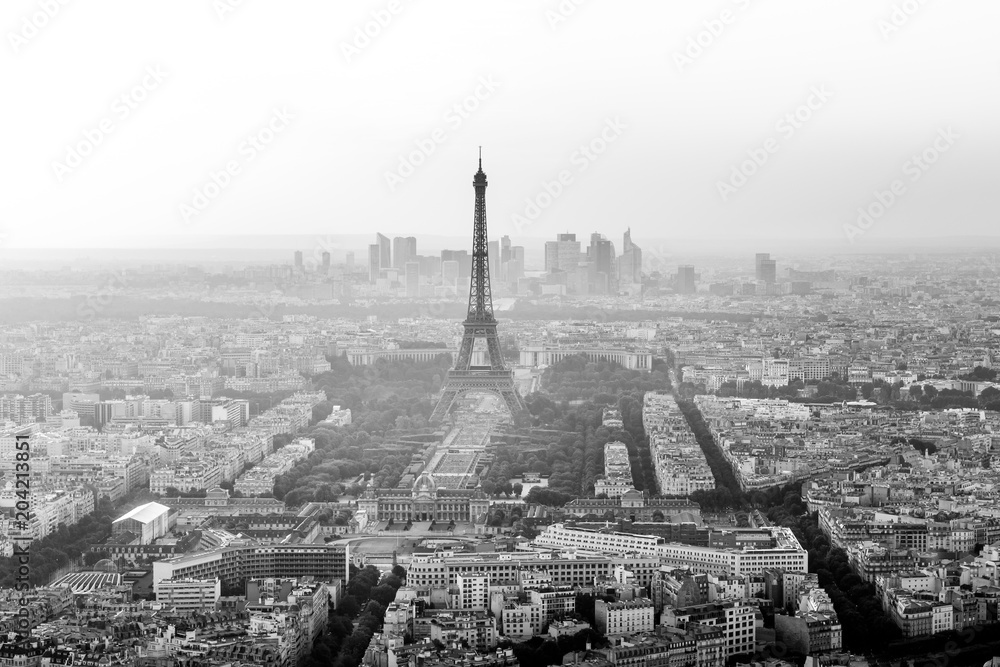 Eiffel Tower Aerial  Black and White