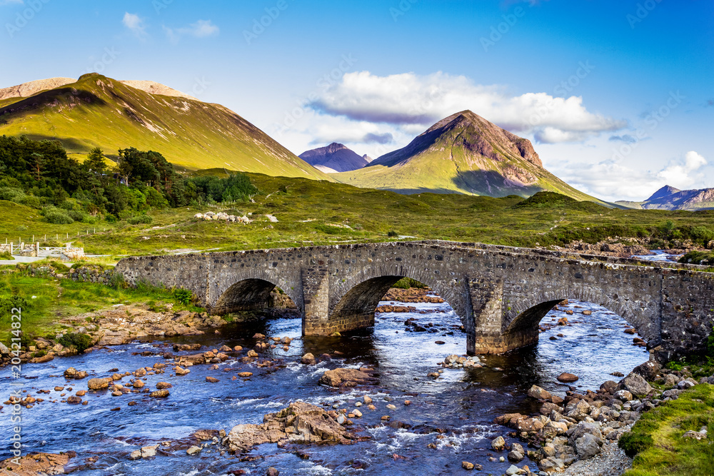 Bridge in scottish highland - obrazy, fototapety, plakaty 