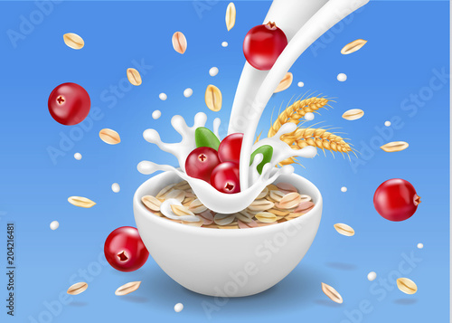 Oat flakes with cranberry. Oatmeal and berry in milk splash advertising vector illustration