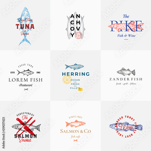 Premium Quality Retro Fish Vector Signs or Logo Templates Set. Hand Drawn Vintage Fish Sketches with Classy Typography  Tuna  Trout  Salmon  Herring etc. Great Restaurant and Seafood Emblems.