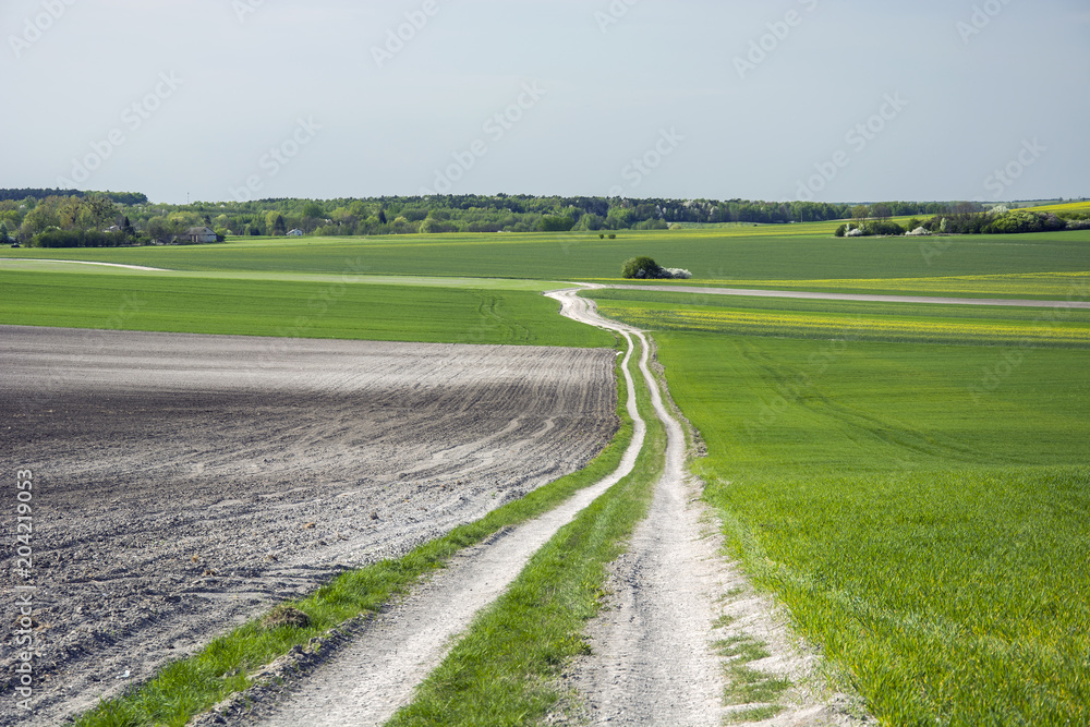 Long country road and fields