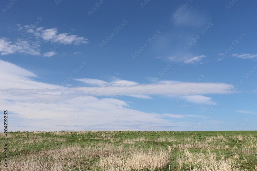 Long white cloud in blue sky over green hilltop with bushes