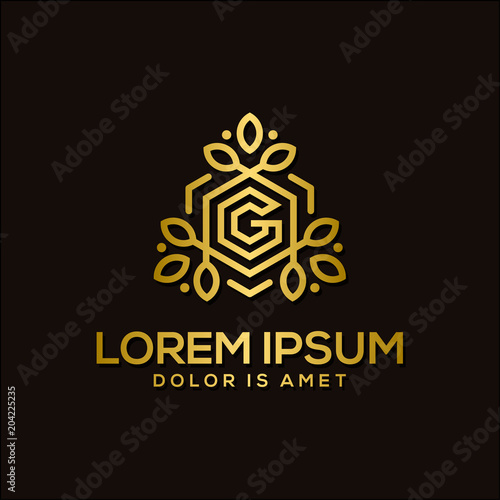 luxury letter G logo template vector illustration