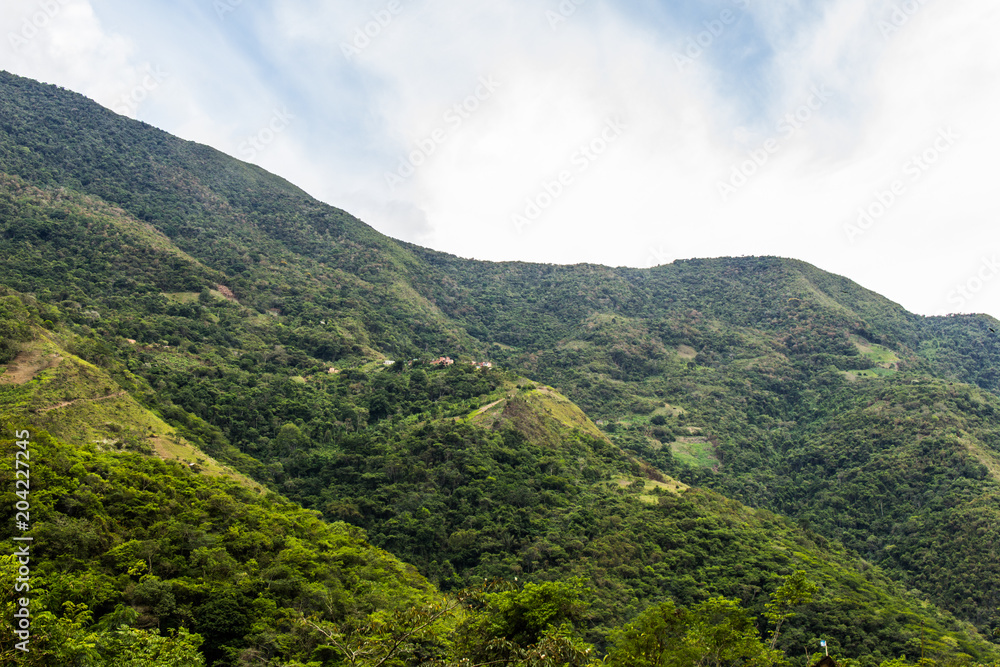 Mountains Close to Coroico and Tocaña - Community African Bolivian Mountains Close to Coroico and Tocaña - Community African Bolivian