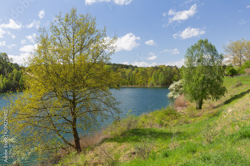 a picturesque lake amidst trees and meadows