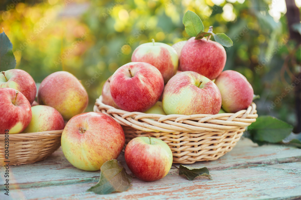 Organic apples in a baskets Organic apples in a baskets
