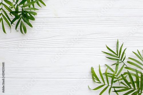 summer flat lay. fresh palm leaves border on white wooden background with space for text. top view. summer vacation concept. travel and wanderlust