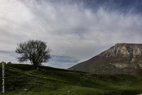 Monti del Parco Nazionale d?Abruzzo photo