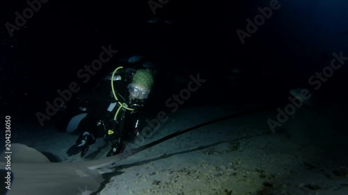 Young beautiful woman scuba diver look at stingrays at night. Pink whipray (Himantura fai), Indian Ocean, Maldives
 photo