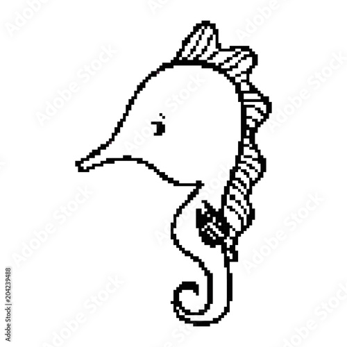line tropical seahorse criature animal of ocean